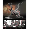 my-11134207-7ras9-mdk2ujygbws116.webp Ultra-Quiet Indoor Spinning Bike